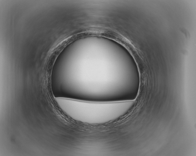 X0000113231448200909100933