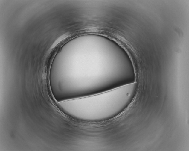 X0000113231450200909100933