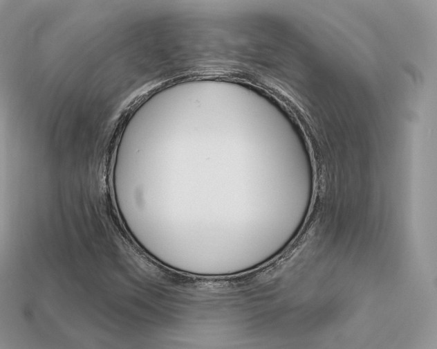 X0000113231451200909100933