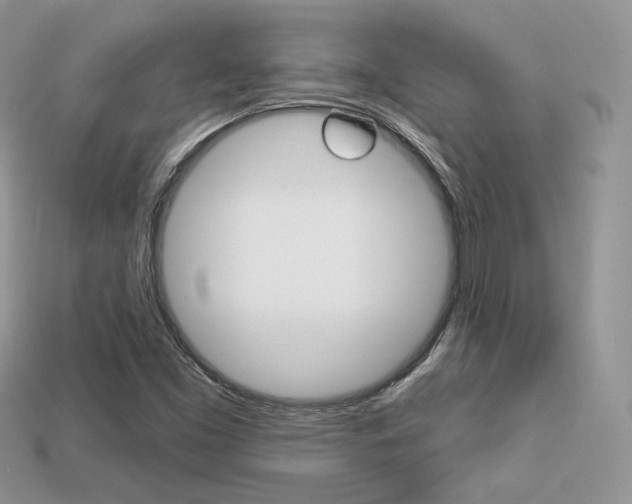 X0000113231453200909100933