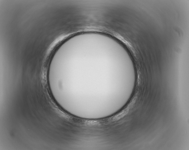 X0000113231454200909100933