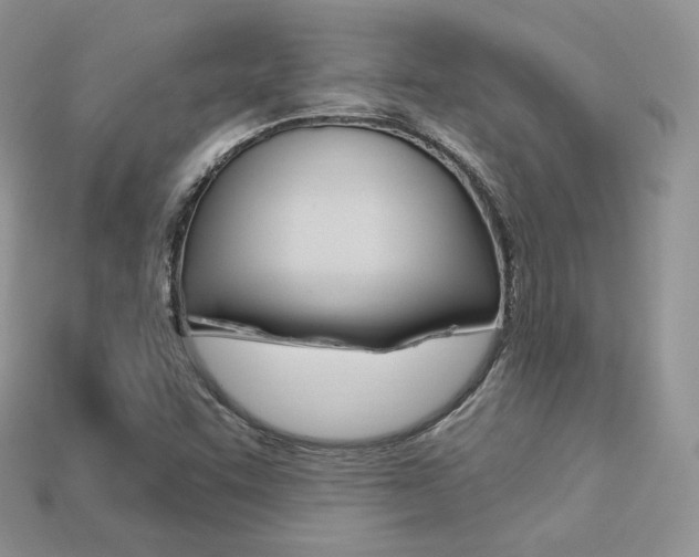 X0000113231455200909100933