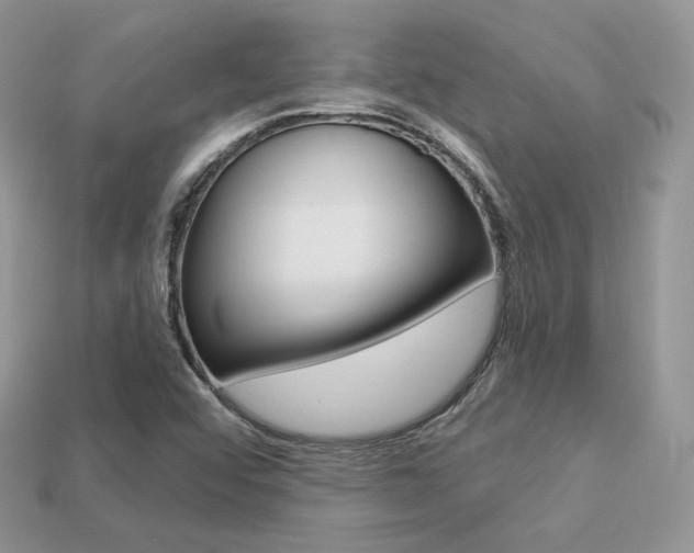 X0000113231456200909100933