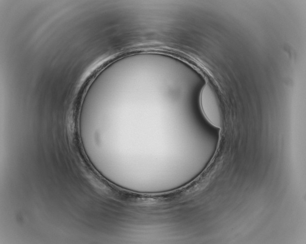 X0000113231458200909100933