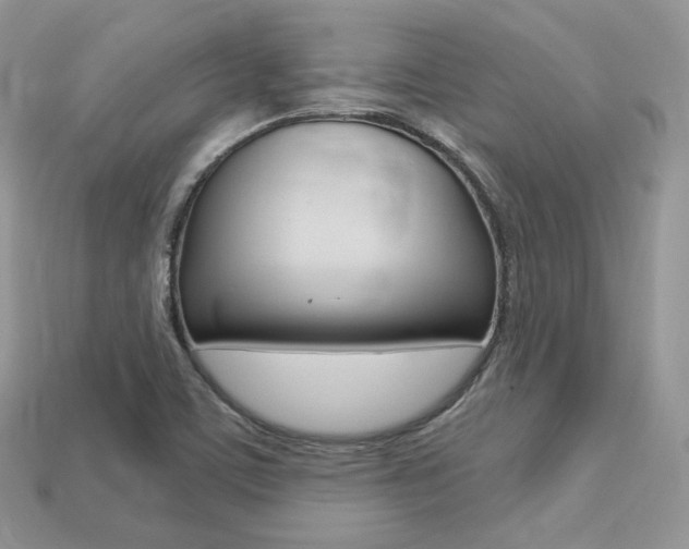 X0000113231459200909100933