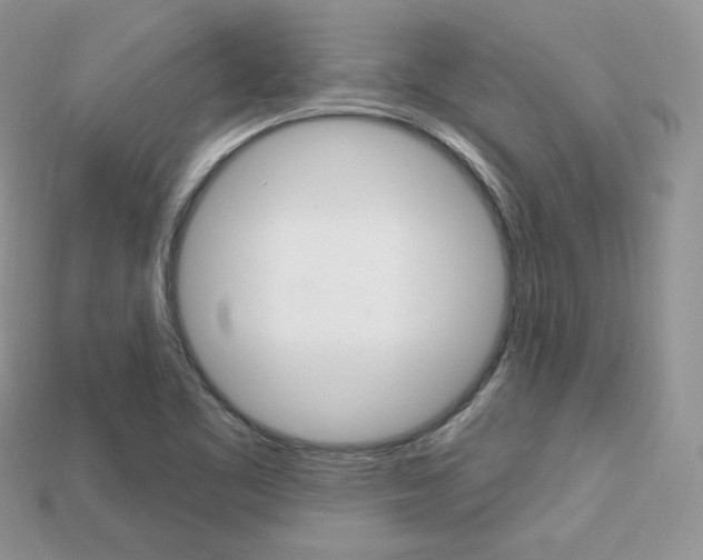 X0000113231461200909100933
