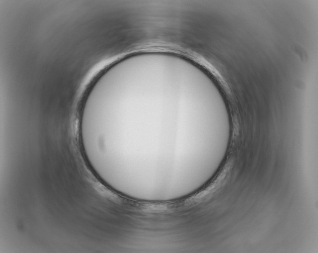 X0000113231462200909100933