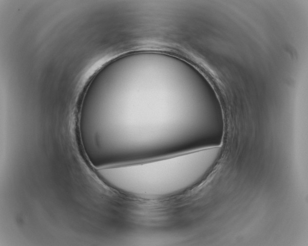 X0000113231463200909100933