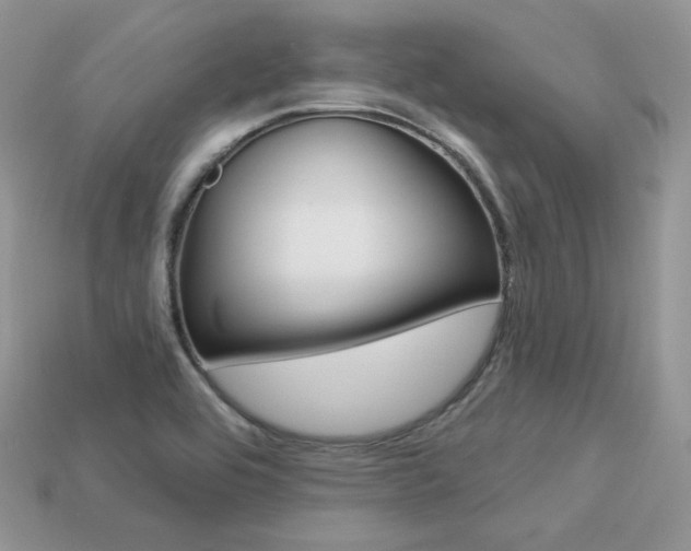 X0000113231464200909100933