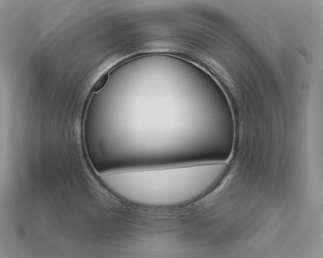 X0000113231465200909100933