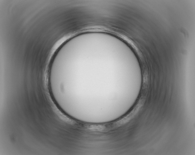 X0000113231466200909100933