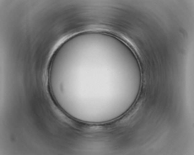 X0000113231467200909100933