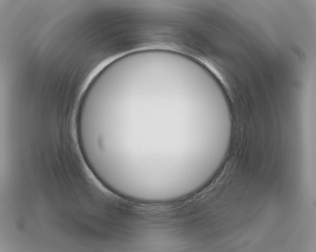 X0000113231468200909100933