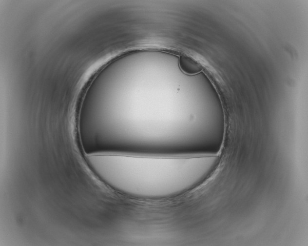 X0000113231469200909100933