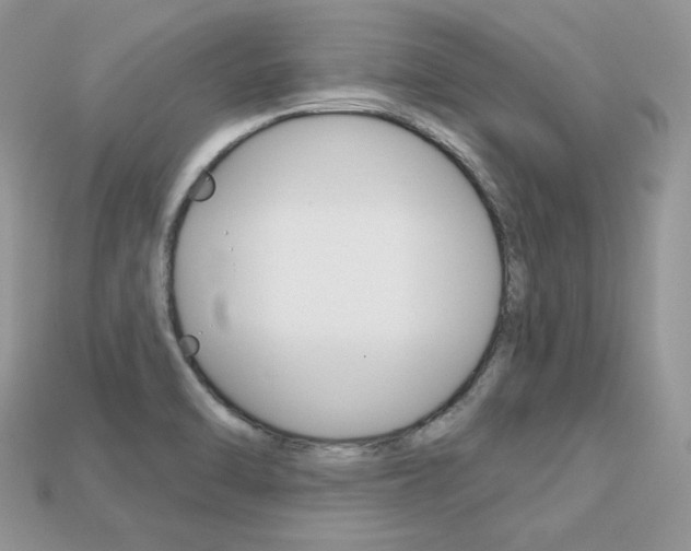 X0000113231470200909100933