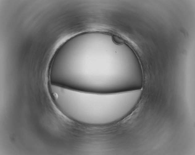 X0000113231471200909100933
