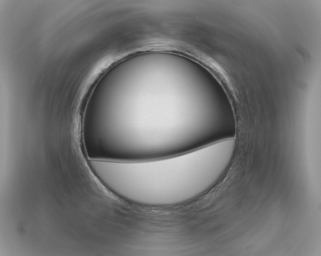 X0000113231472200909100933