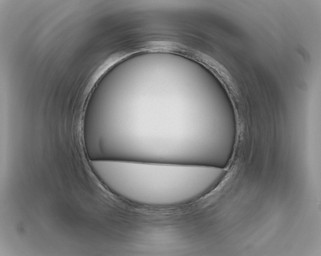 X0000113231473200909100933