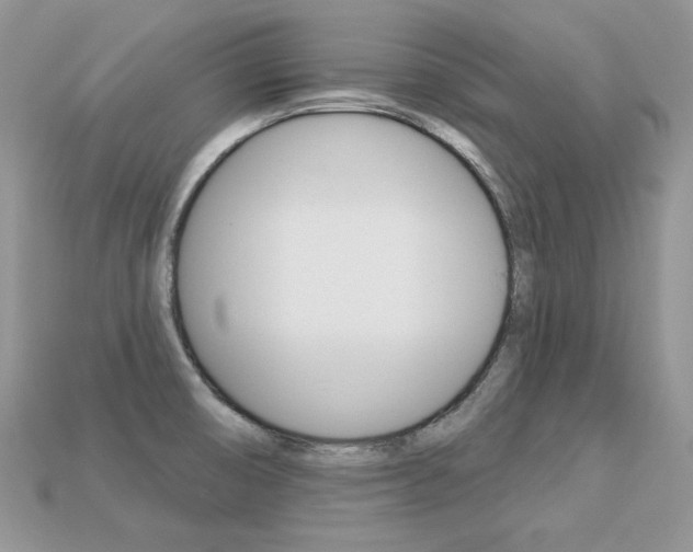 X0000113231474200909100933