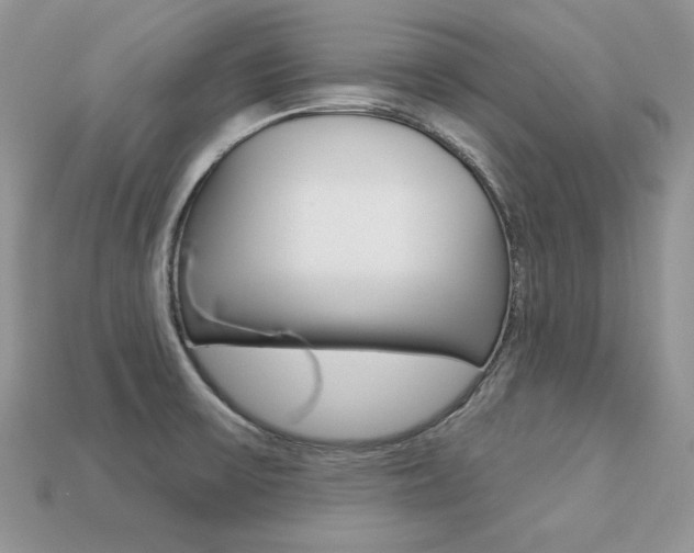 X0000113231475200909100933
