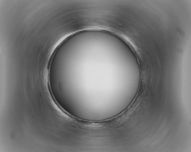 X0000113231476200909100933