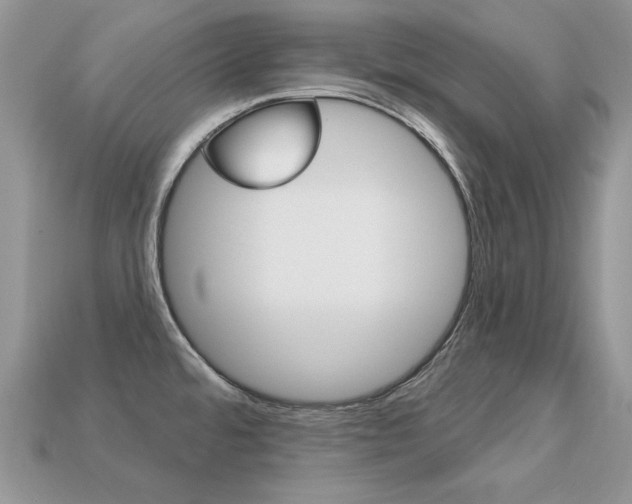 X0000113231480200909100933