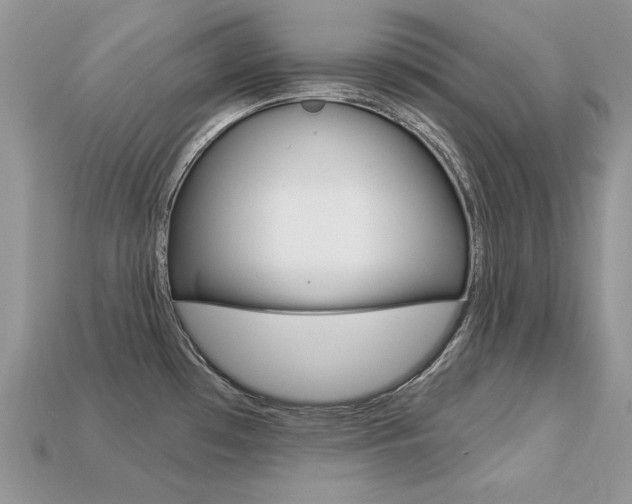 X0000113231481200909100933