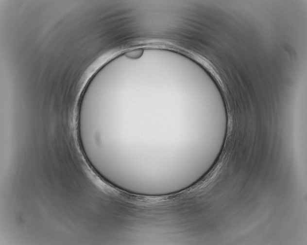 X0000113231482200909100933