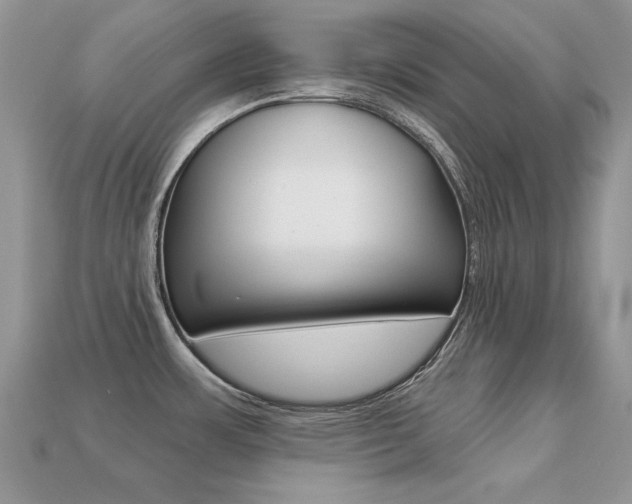 X0000113231483200909100933