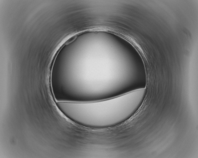 X0000113231484200909100933