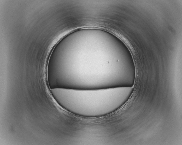 X0000113231485200909100933