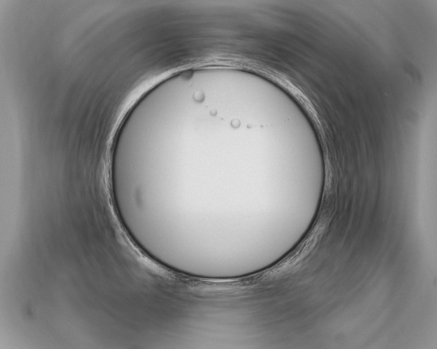 X0000113231486200909100933