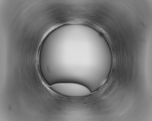 X0000113231487200909100933