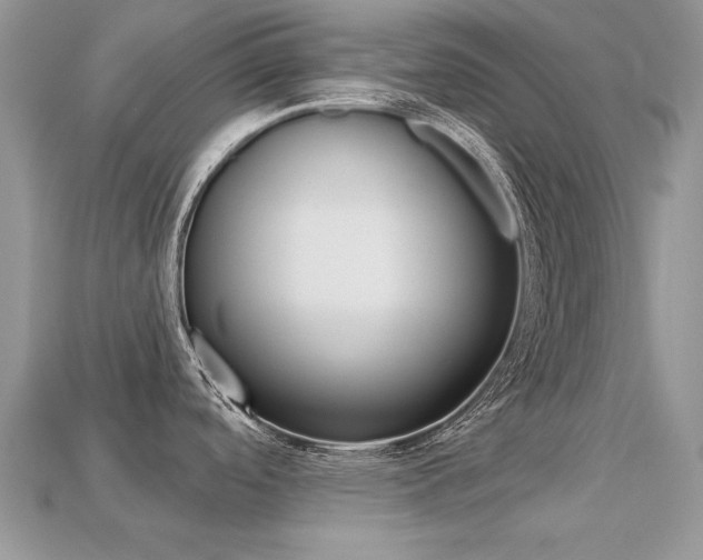 X0000113231488200909100933