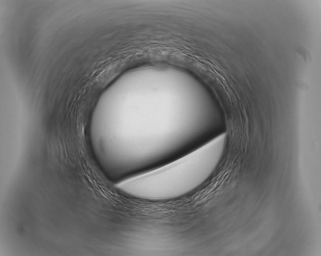 X0000113231489200909100932