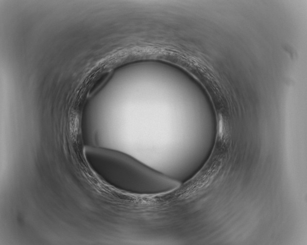 X0000113231492200909100932