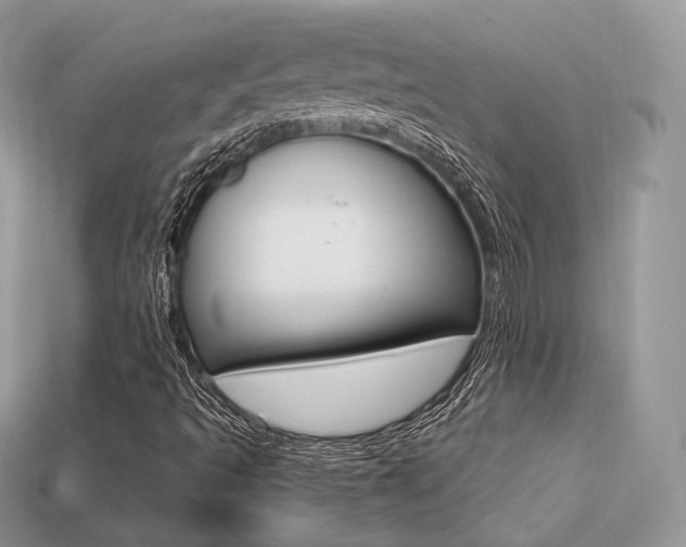 X0000113231493200909100932