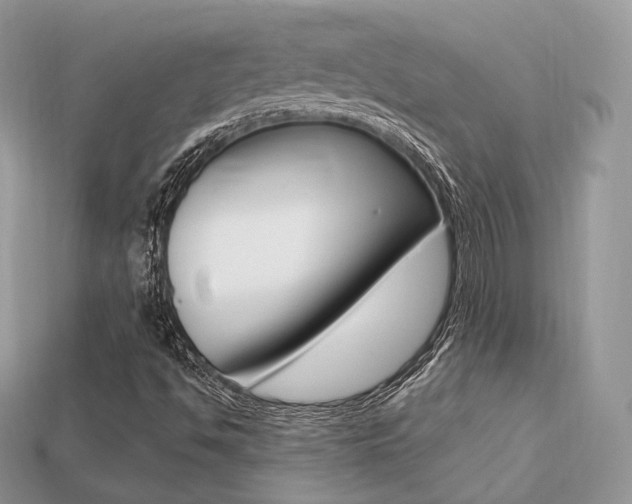 X0000113231494200909100932