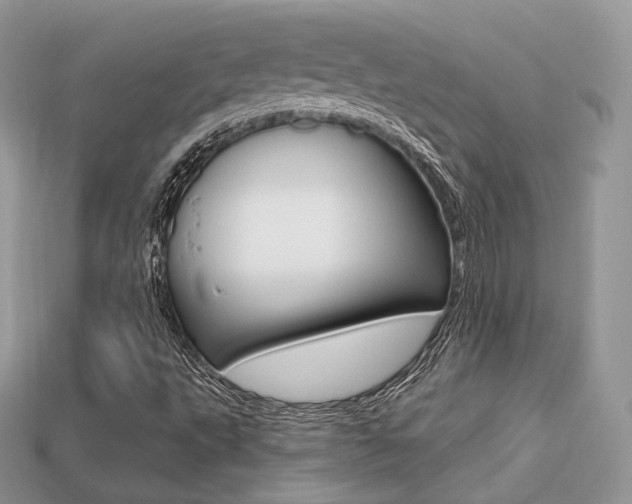 X0000113231495200909100932