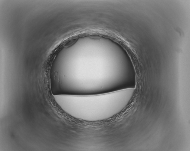 X0000113231496200909100932