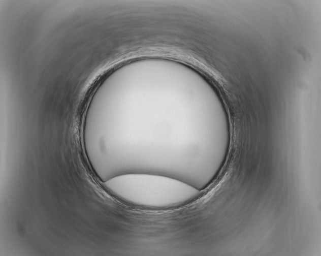 X0000113231498200909100932