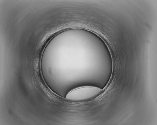 X0000113231499200909100932