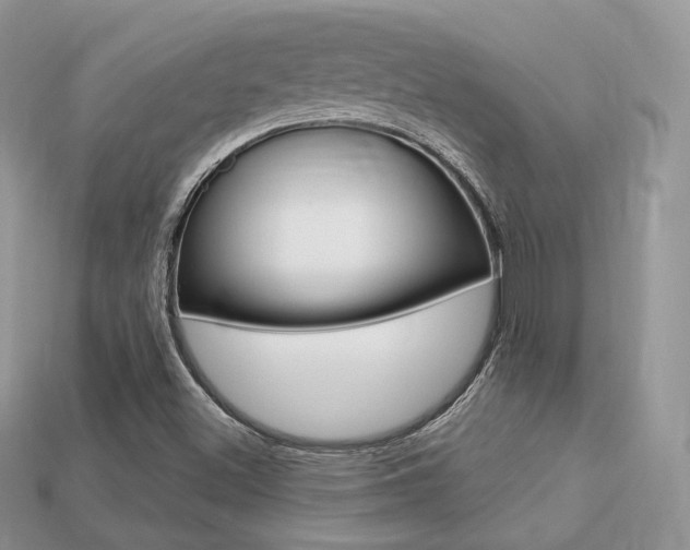 X0000113231500200909100932