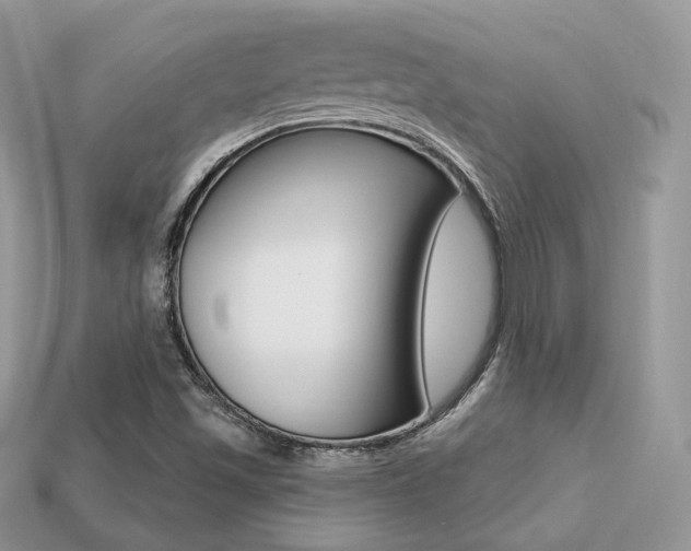 X0000113231501200909100932
