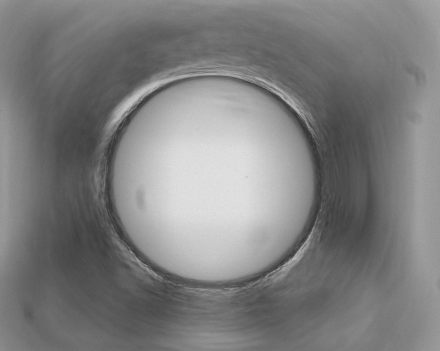 X0000113231502200909100932