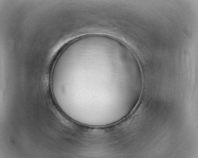 X0000113231503200909100932