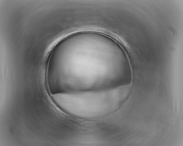 X0000113231504200909100932