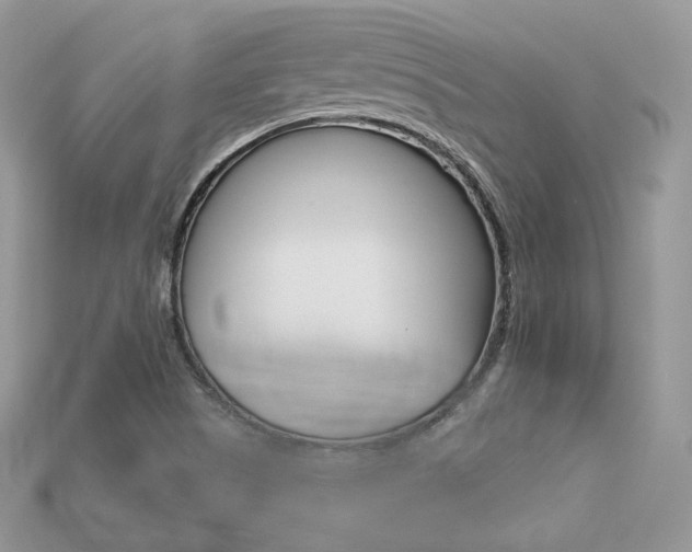 X0000113231505200909100932