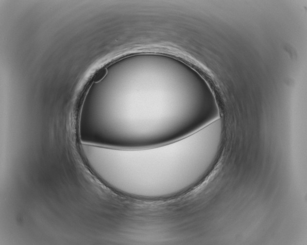 X0000113231506200909100932