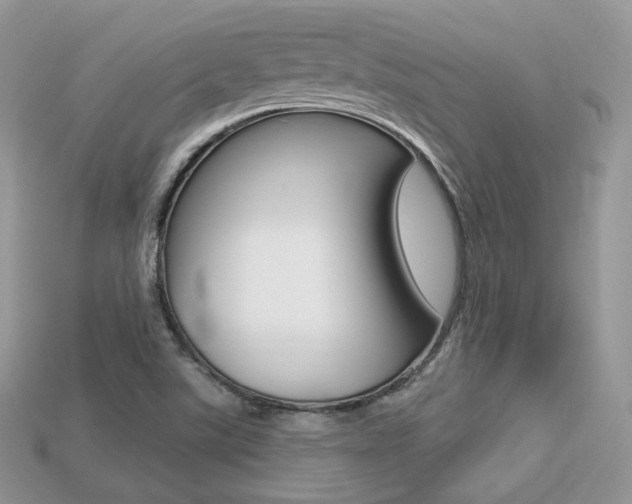 X0000113231507200909100932